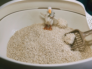 豆腐猫砂 - 副本.jpg
